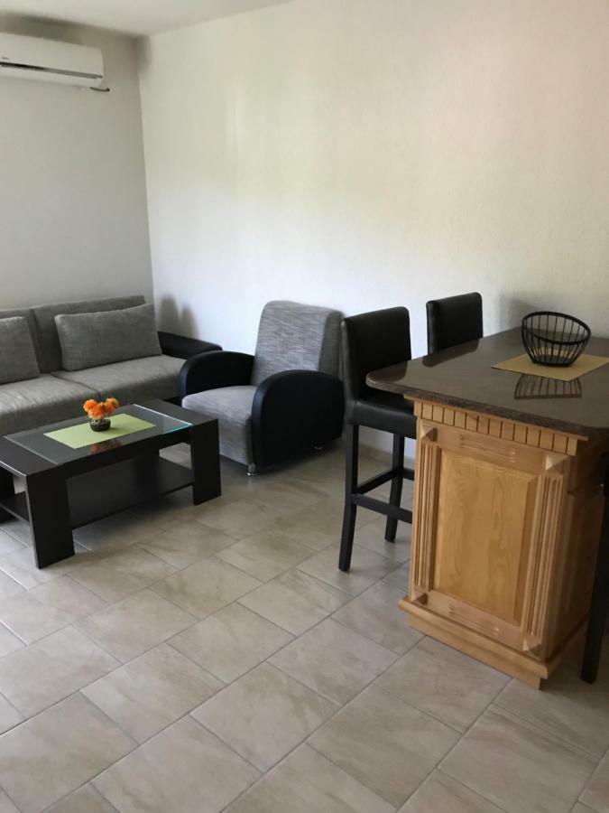 Vila Borivoje 公寓 乌尔齐尼